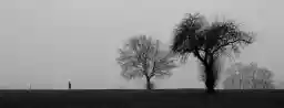 'Alone (Corona Days)' in a higher resolution